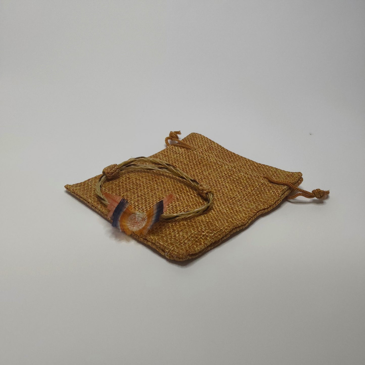 Manilla Colección 8
